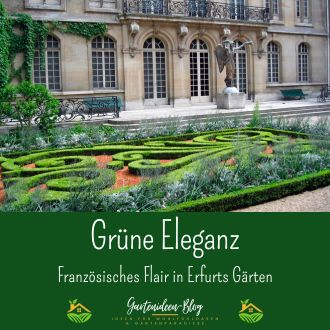 Grüne Eleganz mit französischem Flair in Erfurts Gärten 1