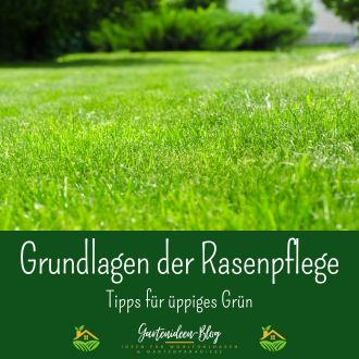Grundlagen der Rasenpflege - Tipps für üppiges Grün