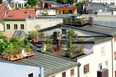 Nachhaltige Gartenpraktiken - 15 Grüne Dachgärten