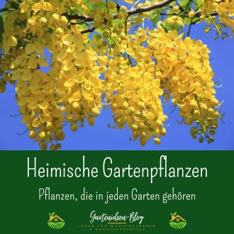 Heimische Gartenpflanzen - Pflanzen die in jeden Garten gehören