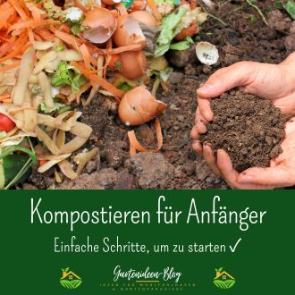 Kompostieren für Anfänger - Einfache Schritte um zu starten