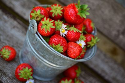 Pflegeleichte Obstsorten für deinen Garten - 1 Erdbeere