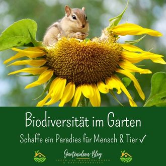Biodiversität im Garten - Schaffe ein Paradies für Mensch und Tier