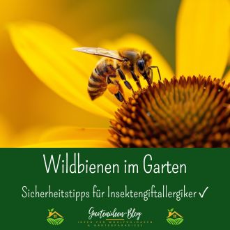 Wildbienen im Garten - Sicherheitstipps für Insektengiftallergiker