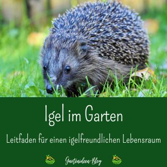 Igel im Garten - Leitfaden für einen igelfreundlichen Lebensraum