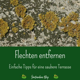 Flechten entfernen - Einfache Tipps für eine saubere Terrasse